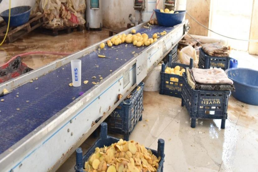 1,5 TON PATATES İMHA EDİLDİ