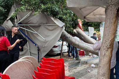 MURATPAŞA’DA BAKIMSIZ AĞAÇ DEVRİLDİ: 5 ARAÇTA ZARAR, VATANDAŞTAN BELEDİYEYE TEPKİ