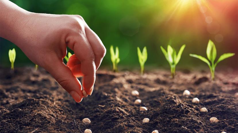 ANTALYA TARIMI ATEŞ HATTINDA