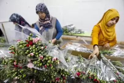 ANTALYA VE ISPARTA ÜRETİMİ İHRACAT REKORU GETİRDİ