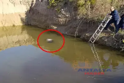 ANTALYA’DA DEHŞET: SU ÇUKURUNDA YAŞLI KADIN CESEDİ BULUNDU