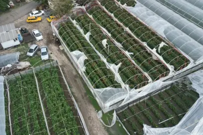 ANTALYA’DA HORTUM FELAKETİ! SERALAR YERLE BİR OLDU