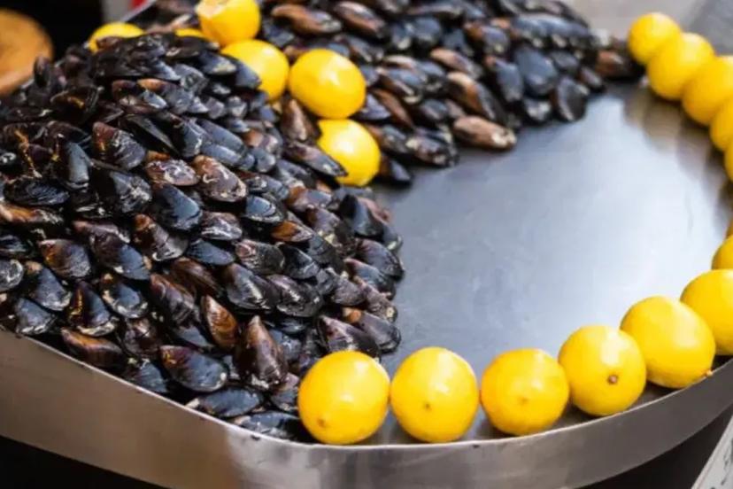 ANTALYA’DA MİDYE DOLMA ALARMI