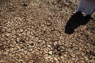 FAO’DAN TÜRKİYE’YE 8,1 MİLYON DOLARLIK ARAZİ DESTEĞİ