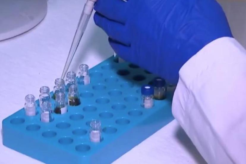 PESTİSİT KALINTILARINDA YENİ LİMİTLER BELİRLENDİ