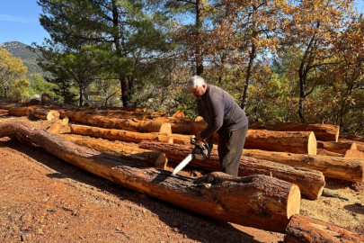 TOROSLAR’DA 35 YILDIR ORMAN MESAİSİ YAPAN TAHTACI ÇİFT
