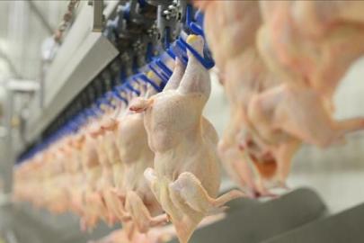 TÜRKİYE’DE TAVUK ETİ ÜRETİMİ YÜZDE 6,9 ARTTI