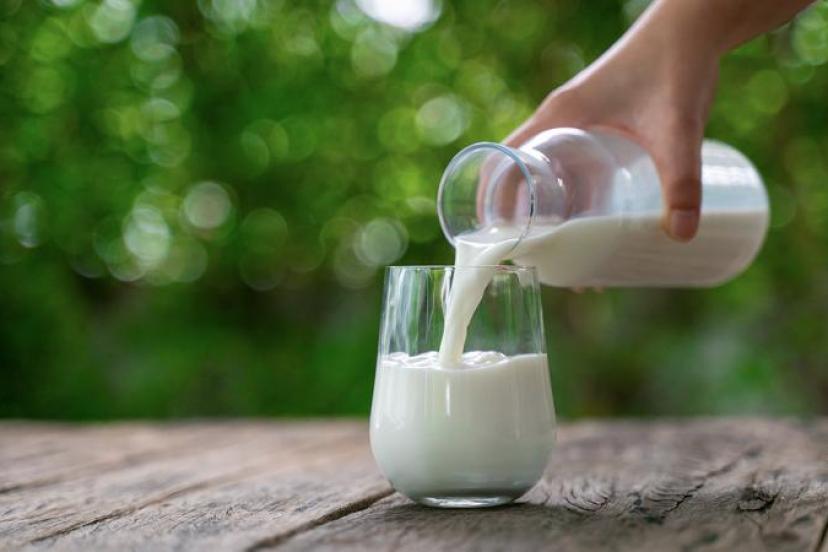 ULUSAL SÜT ZİRVESİ 20 KASIM’DA ANTALYA’DA GERÇEKLEŞECEK