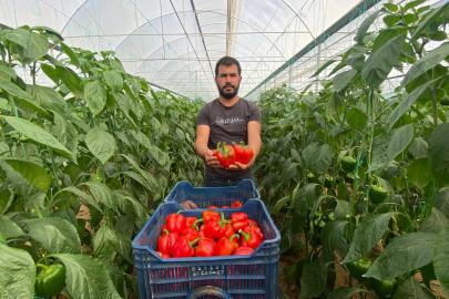 ANTALYA’DA YAŞ SEBZE VE MEYVE SEKTÖRÜNE KÖTÜ HABER