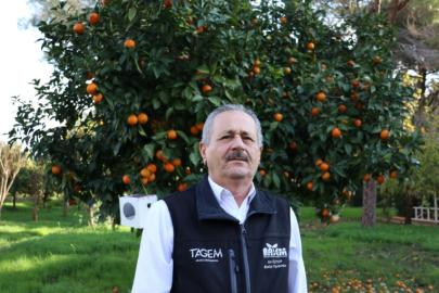 ANTALYA’DA YILDA 6 MİLYON YARARLI BÖCEK ÜRETİLİYOR