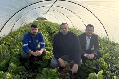 CHP’DEN SERİK’TE TARIM ALARMI: MARUL TARTIŞMASI