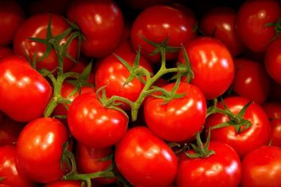 DEMRE SALKIM DOMATESİ COĞRAFİ İŞARETLE KORUNACAK