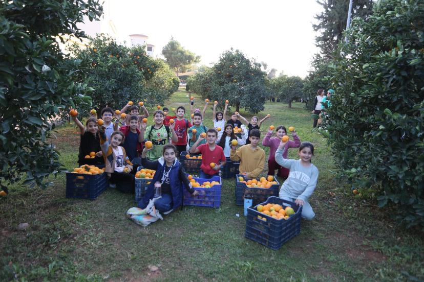 DOKUMAPARK PORTAKALLARI HALKLA PAYLAŞILDI