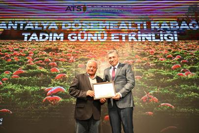 DÖŞEMEALTI KABAĞI LEZZET ŞOVU YAPTI