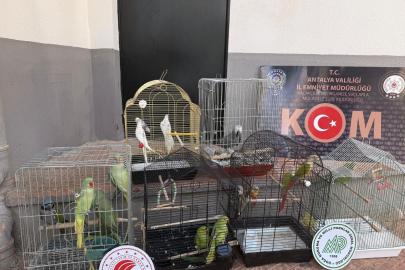 KAÇAKÇILIK VE ORGANİZE SUÇLARA GEÇİT YOK