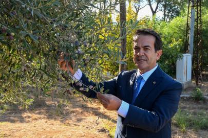 ANTALYA ZEYTİNYAĞI SAHNEYE ÇIKIYOR