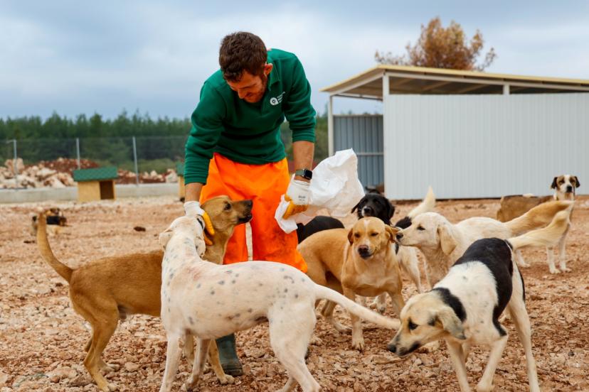 ANTALYA’DA CAN DOSTLARA 84 DÖNÜMLÜK DOĞAL YAŞAM ALANI