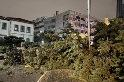 ANTALYA’DA HORTUM PANİĞİ