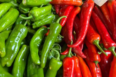 BATI AKDENİZ’İN İHRACAT ŞAMPİYONU BİBER