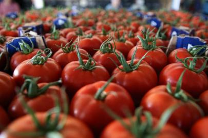 DOMATES İHRACATINDA 401 MİLYON DOLARLIK GELİR