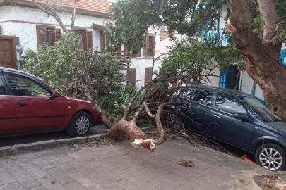 KAŞ’TA FIRTINA ORTALIĞI SAVAŞ ALANINA ÇEVİRDİ