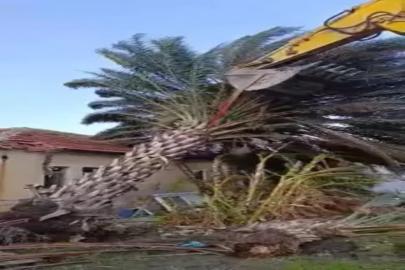 KAŞ’TA FIRTINA TARIMI VURDU