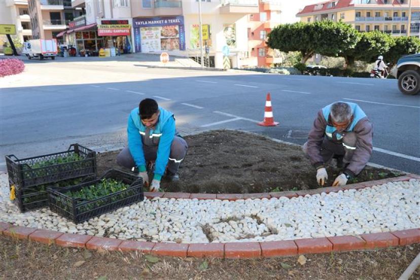 KIŞA RAĞMEN YEŞİL ALANLAR CANLI