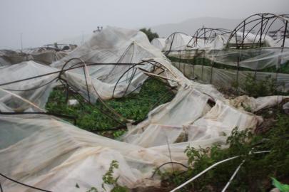 KUMLUCA’DA HORTUM TARIMI VURDU