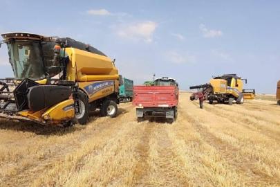 TARIM İHRACATINDA TARİHİ ZİRVE