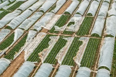 ANTALYA’DA TARIM FELAKETİ: ZARAR 3 MİLYAR TL’YE DAYANDI