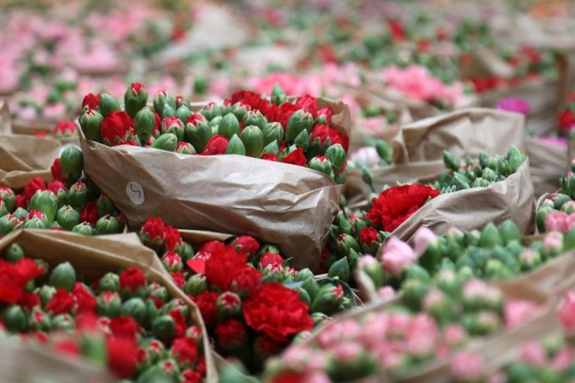 ANTALYA’DAN SEVGİLİLER GÜNÜ REKORU