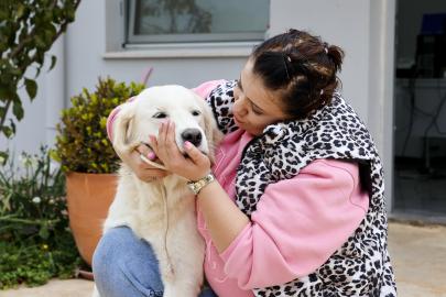 CAN DOSTLAR YENİ YUVALARINI BEKLİYOR