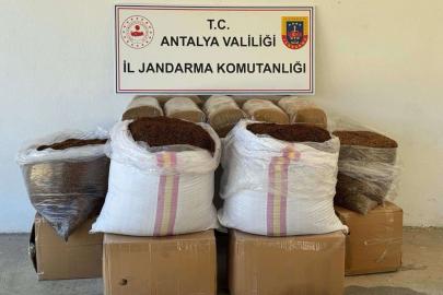 GAZİPAŞA’DA 500 KG KAÇAK TÜTÜN ELE GEÇİRİLDİ