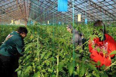 GIDA VE SU ALARMI: COP31 ANTALYA’DA KRİTİK EŞİK