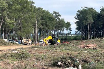 KURŞUNLU ORMANLARI İÇİN RESMİ AÇIKLAMA