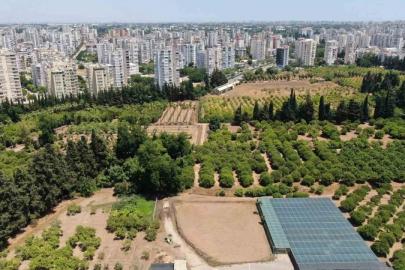 TARIM KAYBI ALARM VERİYOR