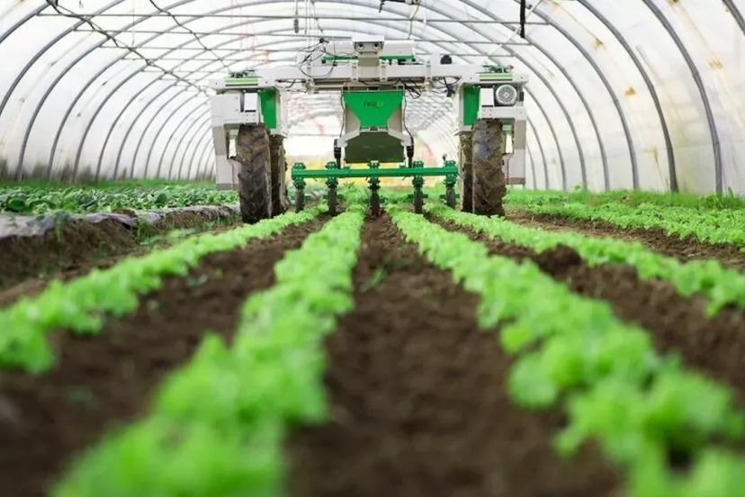 TARIMA “SOSYAL MEDYA FİYATI” DENETİMİ ÇAĞRISI