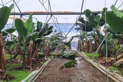 TARSİM’DEN ANTALYA’YA 586 MİLYONLUK DESTEK