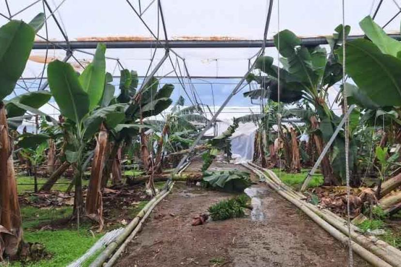 TARSİM’DEN ANTALYA’YA 586 MİLYONLUK DESTEK