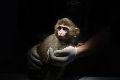 UYUŞTURUCU OPERASYONUNDAN DOĞAL YAŞAMA UZANAN KURTULUŞ