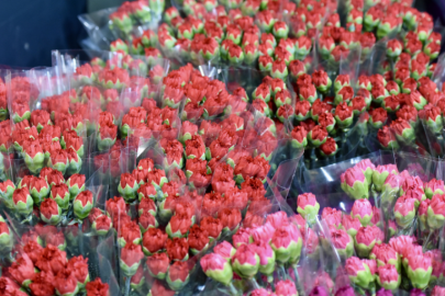 KADINLAR GÜNÜNDE ANTALYA’DAN DÜNYAYA ÇİÇEK YAĞMURU