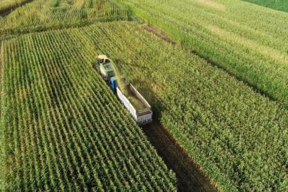 TARIMDA FİYAT ARTIŞI DEVAM EDİYOR