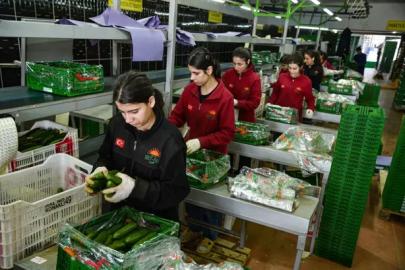 TÜRK SEBZE İHRACATI RUSYA’YA YÜKSELİŞTE