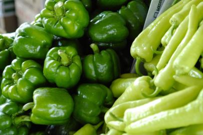 TÜRKİYE’NİN BİBER İHRACATI 100 MİLYON DOLARI GEÇTİ