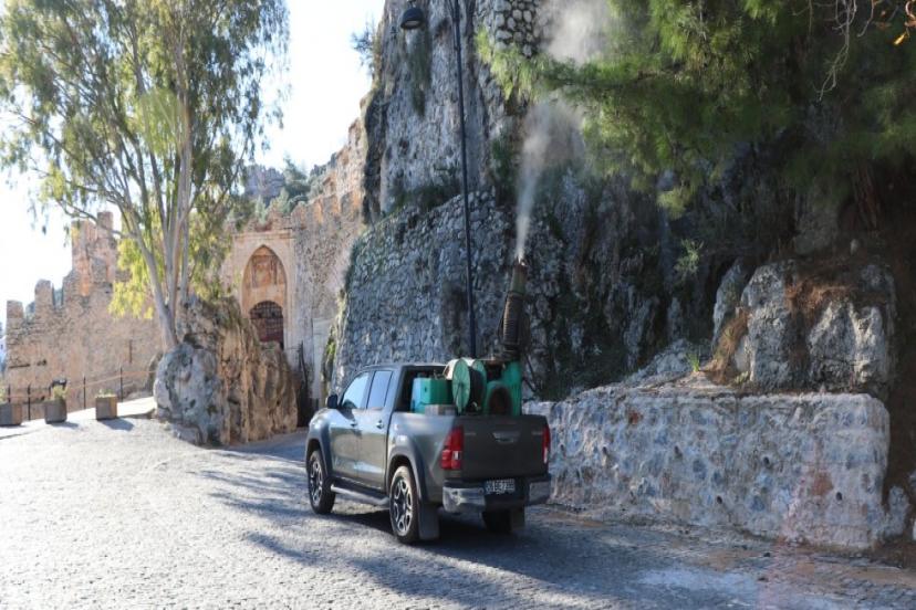 ALANYA BELEDİYESİ’NDEN ÇAM KESE BÖCEĞİNE ÖNLEM
