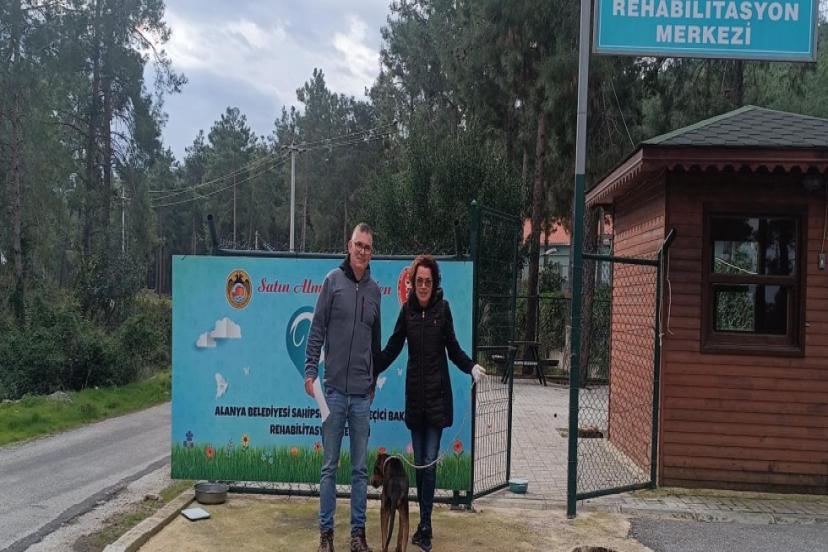 ALANYA’DA CAN DOSTLAR EMİN ELLERDE