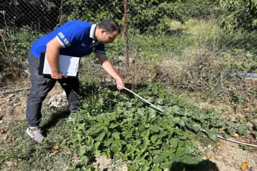 ASAT'TAN USULSÜZ SU KULLANIMINA KARŞI SIKI DENETİM