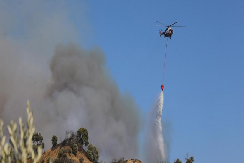 AYDIN'DA ZEYTİNLİK VE ORMANLIK ALANDA ÇIKAN YANGIN 2. GÜNÜNDE