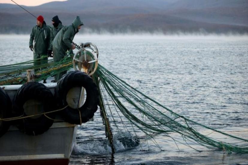 BALIKÇILAR YENİ AV SEZONUNDAN UMUTLU