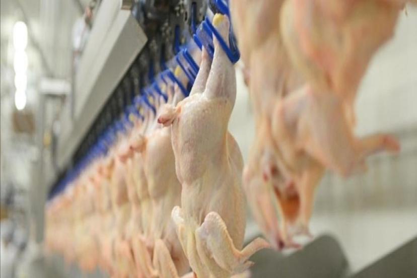 BEYAZ ET SEKTÖRÜNDEKİ 13 FİRMAYA 3.7 MİLYAR LİRA CEZA